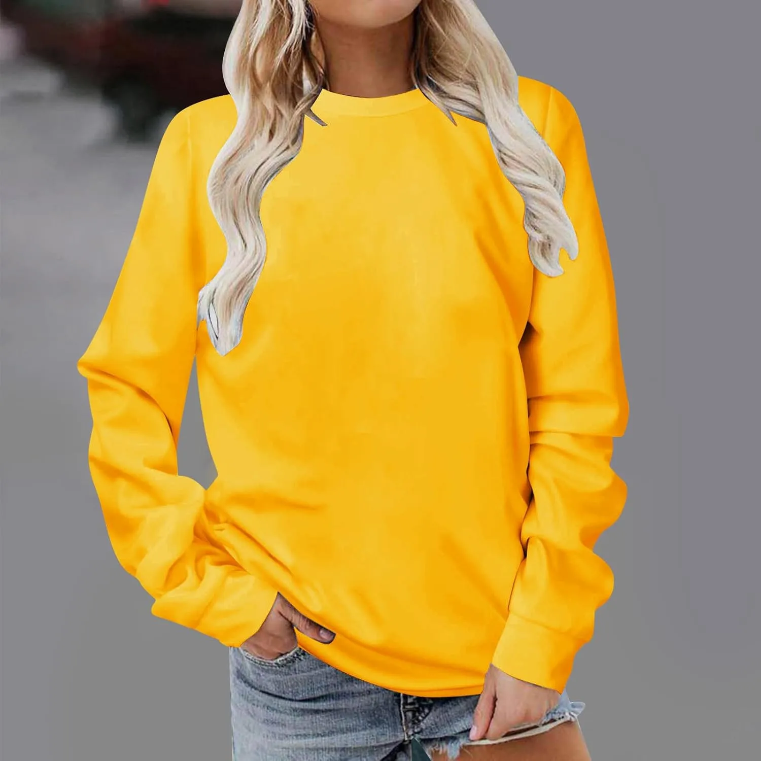 Womens Long Sleeve Crewneck Sweatshirt Fall Fashion 2024 Dressy Casual Loose Comfy Pullover Tops Regular Fit